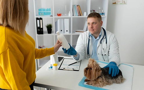 The veterinarian is performing a health checkup on a small dog